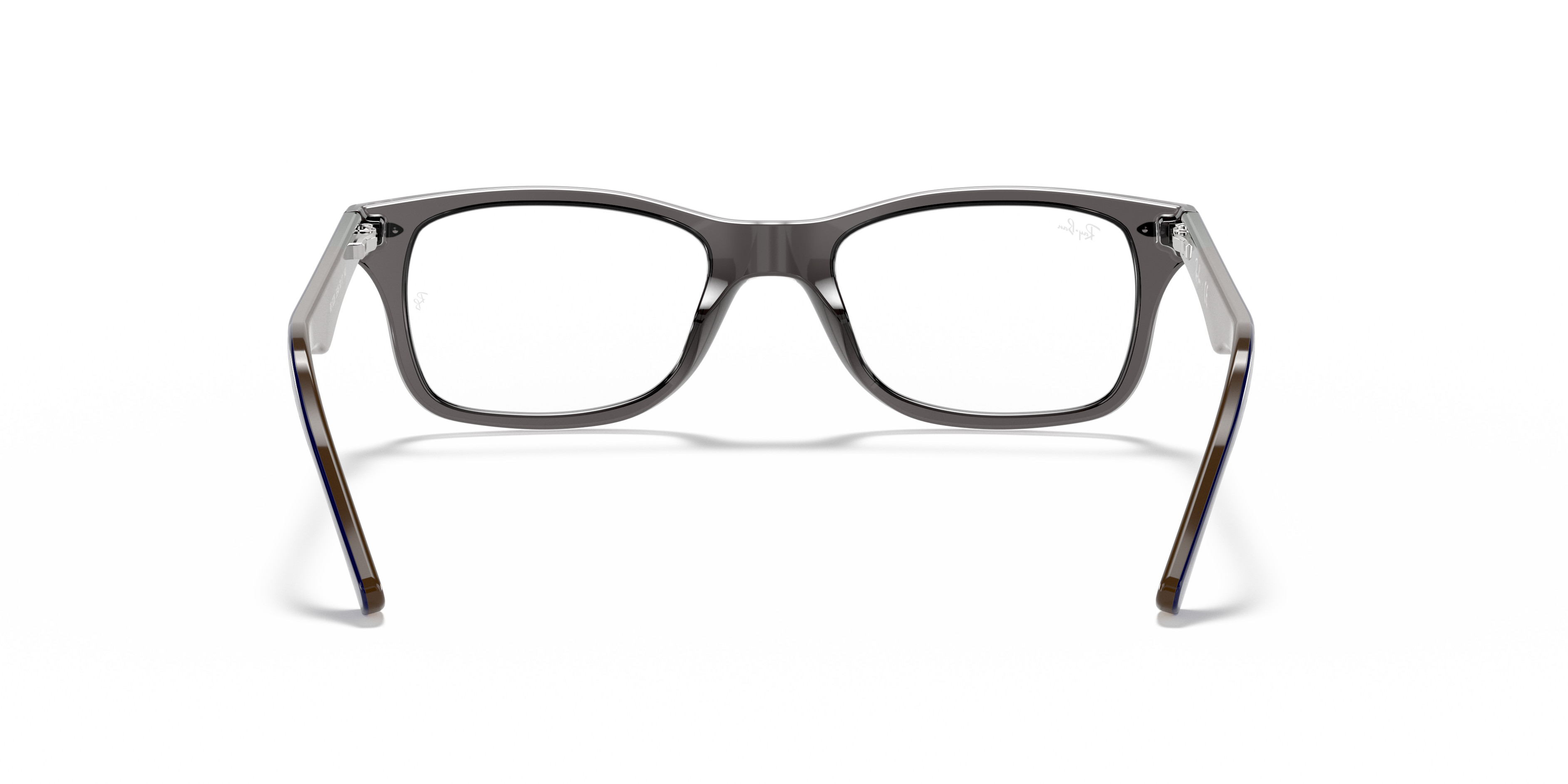 Ray-Ban RB5228 Optics