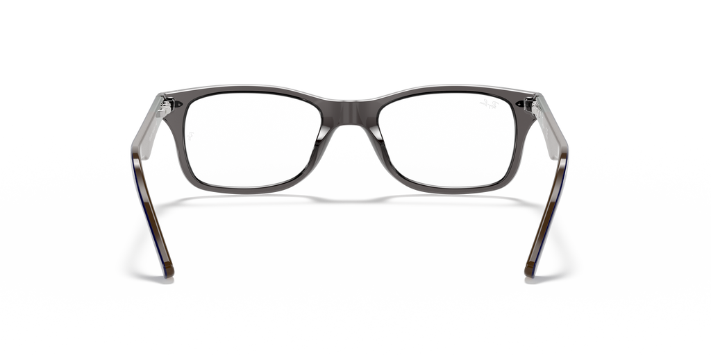 Ray-Ban RB5228 Optics