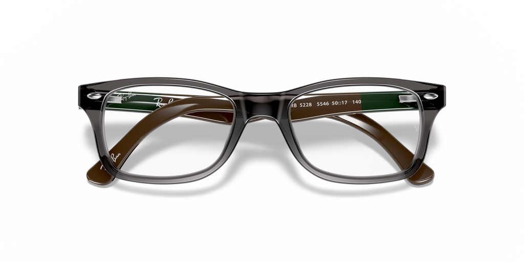 Ray-Ban RB5228 Optics