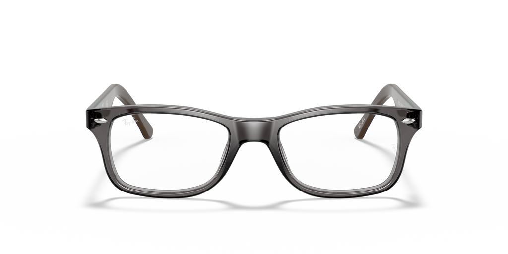 Ray-Ban RB5228 Optics