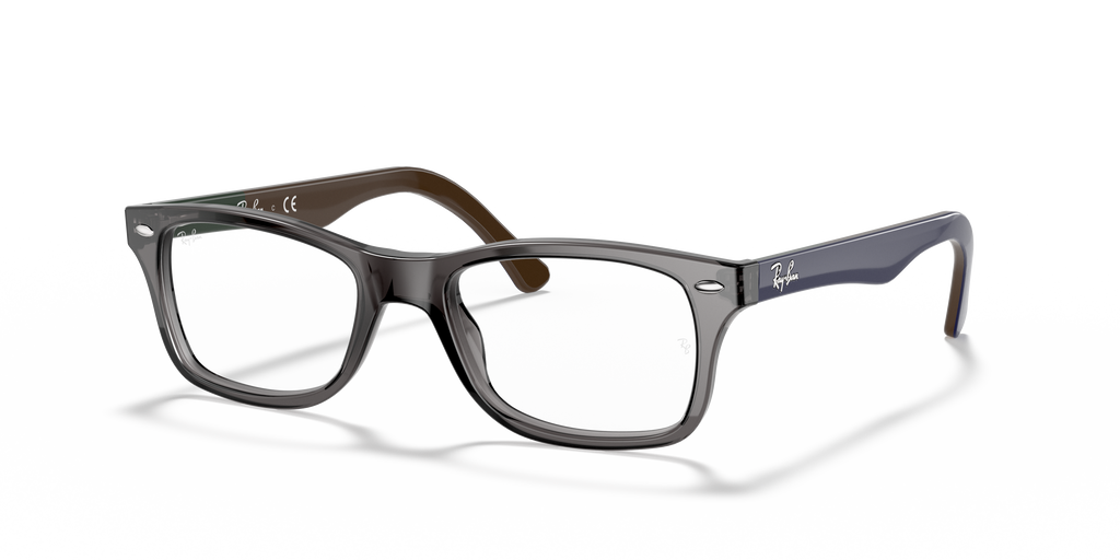Ray-Ban RB5228 Optics
