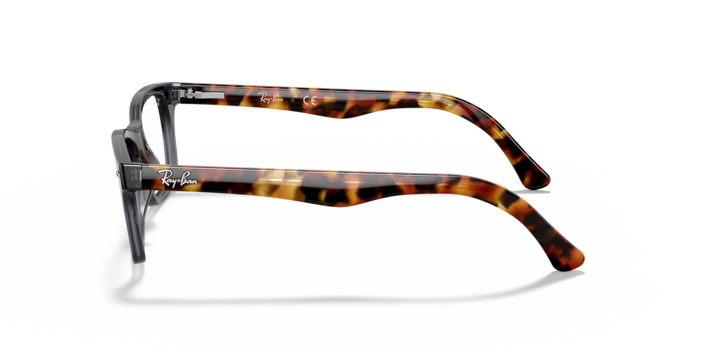 Ray-Ban RB5228 Optics