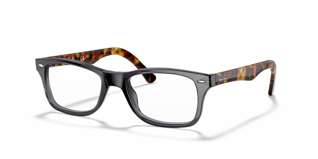 Ray-Ban RB5228 Optics