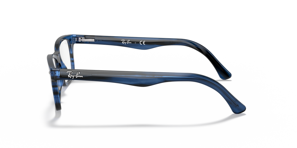 Ray-Ban RB5228 Optics