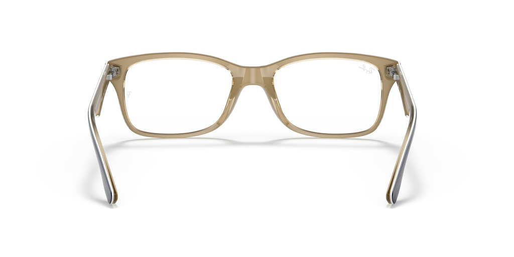 Ray-Ban RB5228 Optics