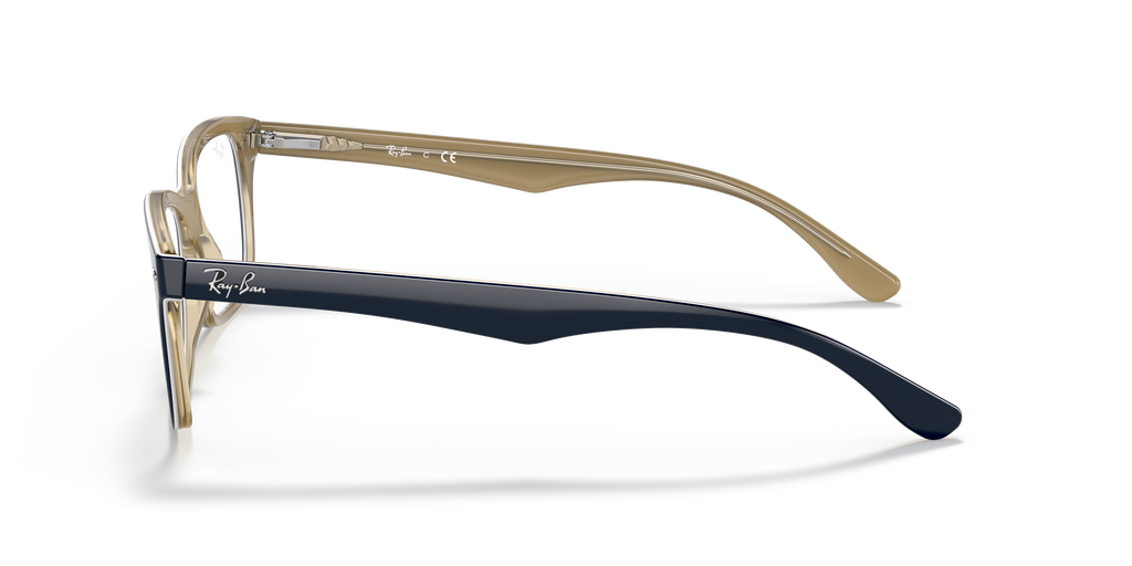 Ray-Ban RB5228 Optics