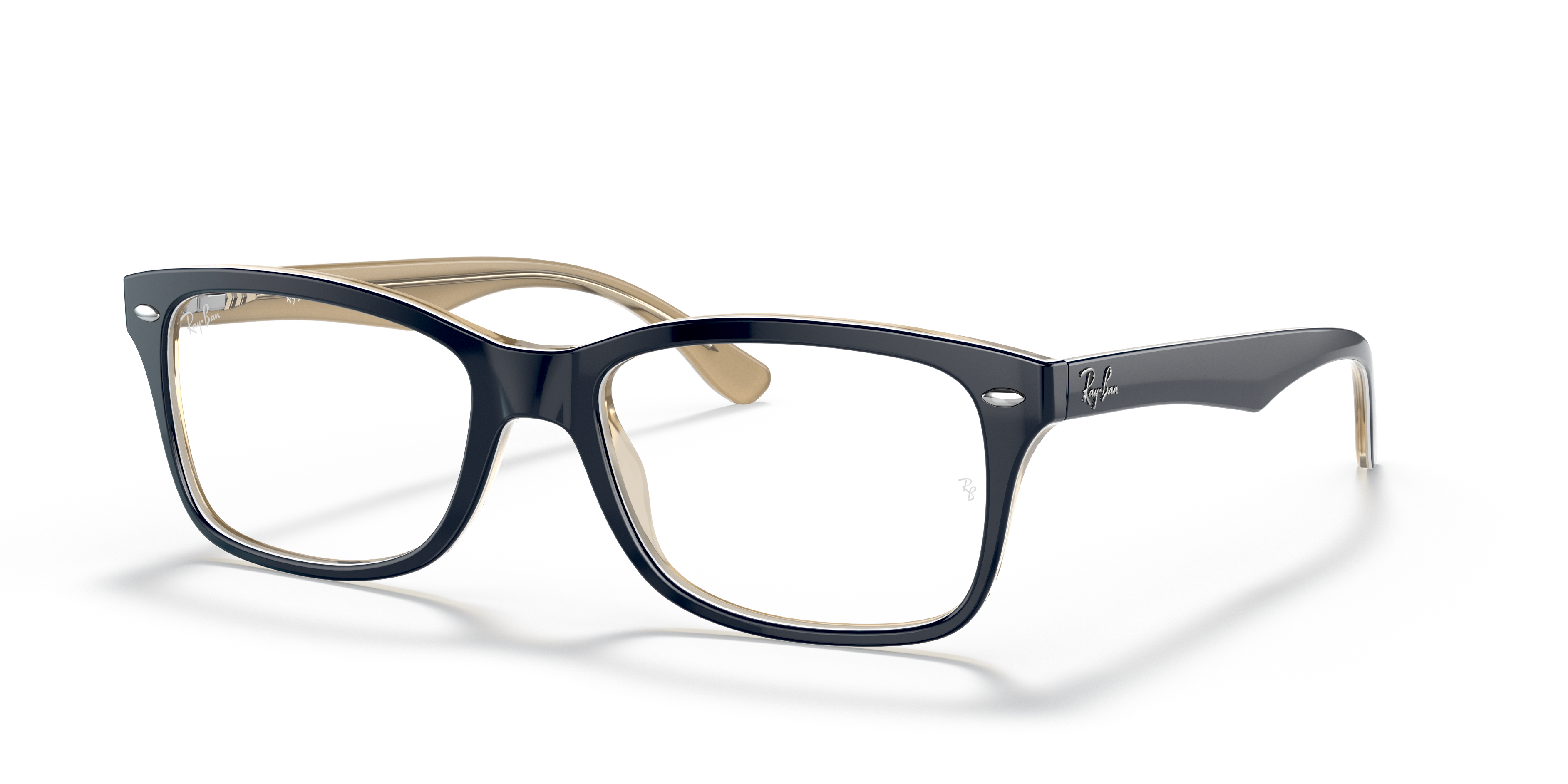 Ray-Ban RB5228 Optics