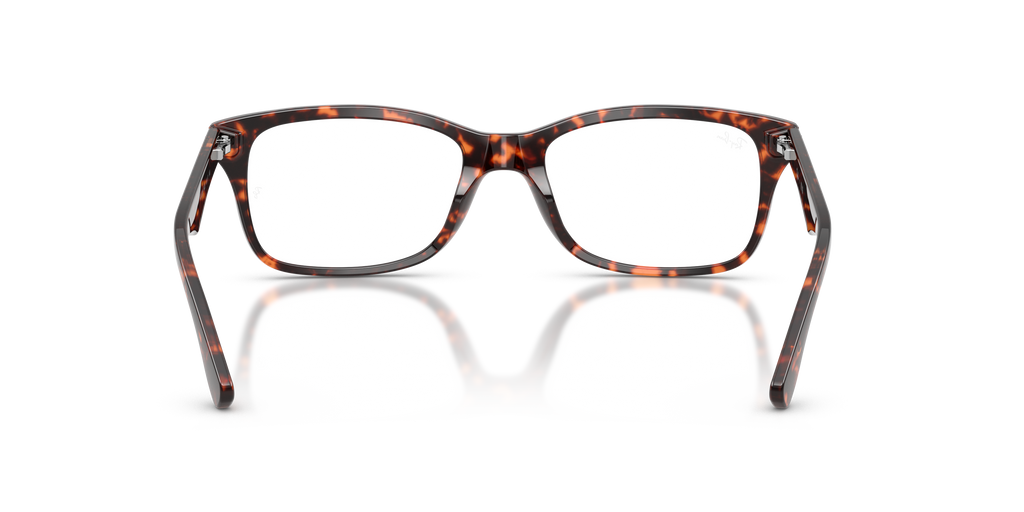Ray-Ban RB5228 Optics