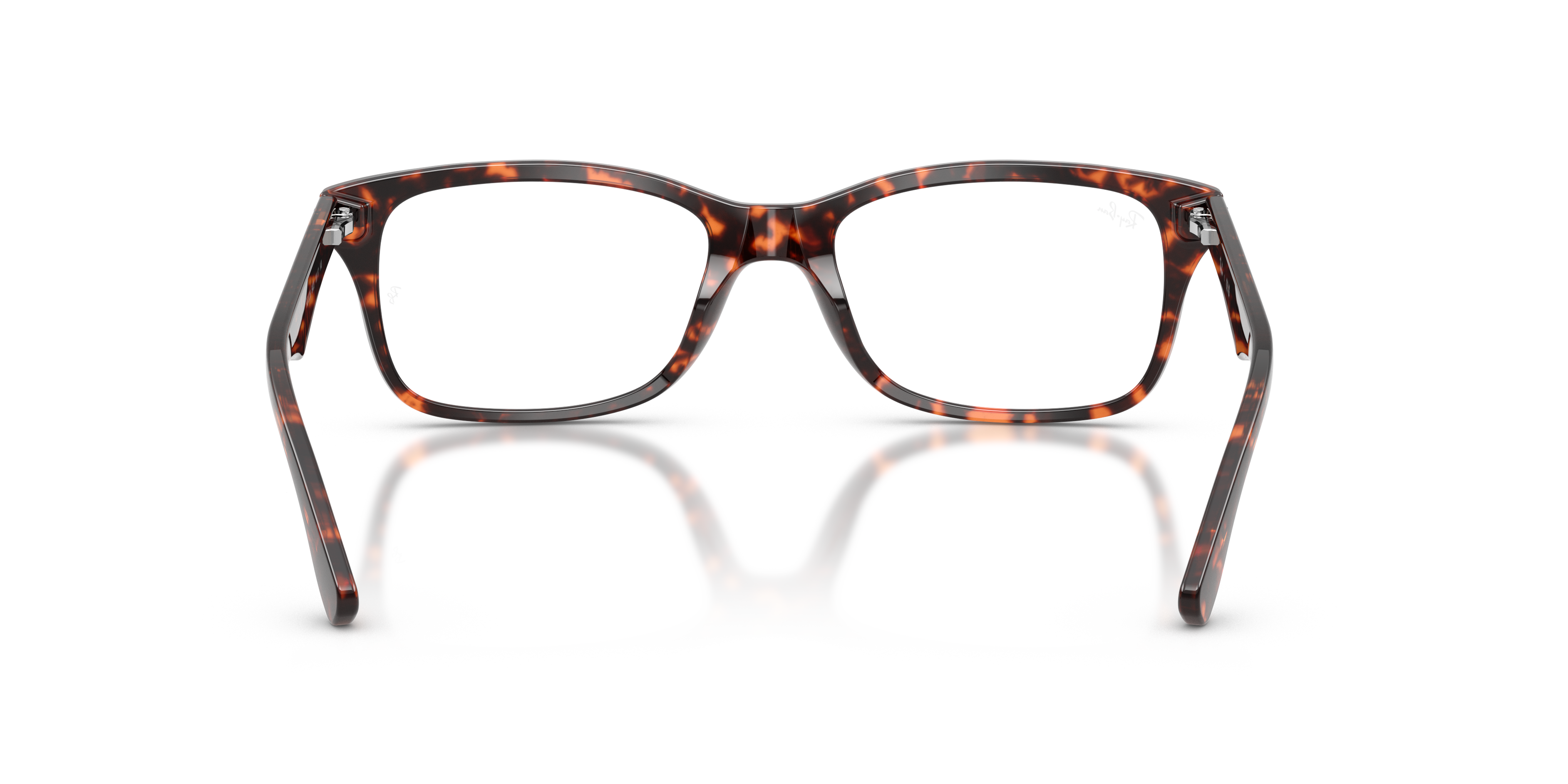 Ray-Ban RB5228 Optics