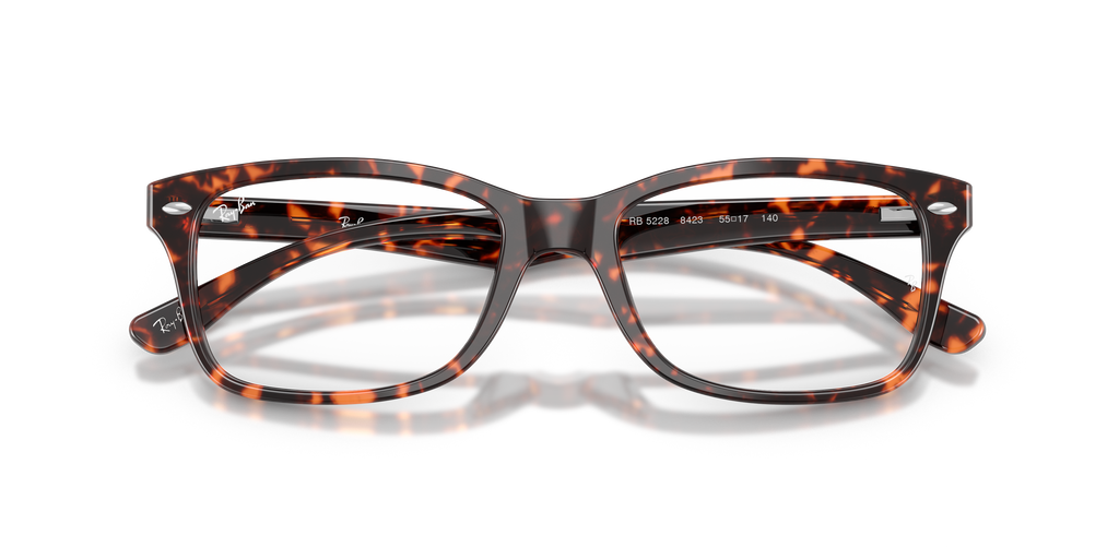 Ray-Ban RB5228 Optics