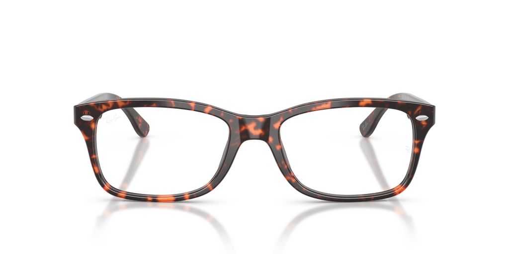 Ray-Ban RB5228 Optics