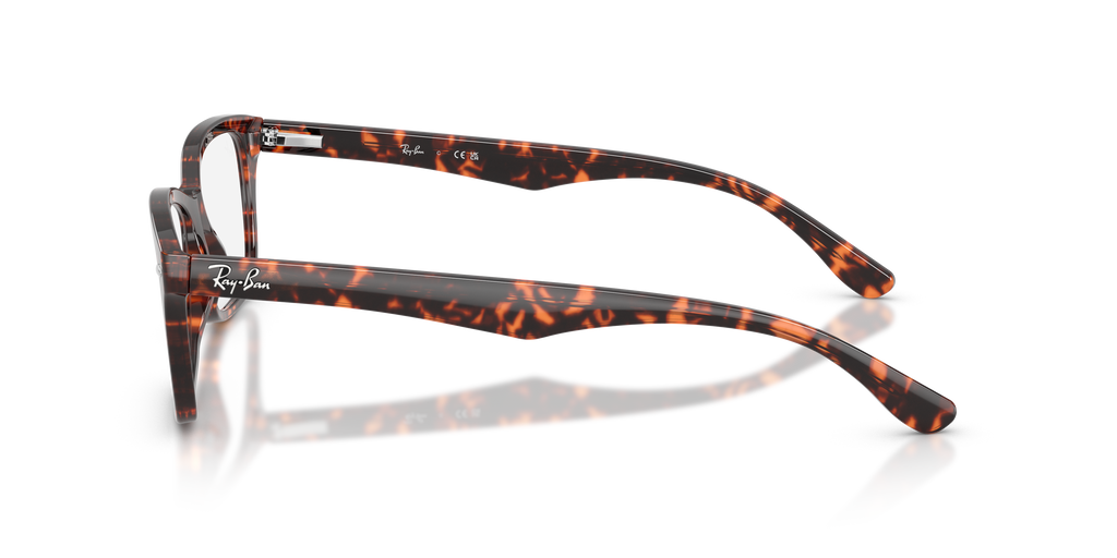 Ray-Ban RB5228 Optics