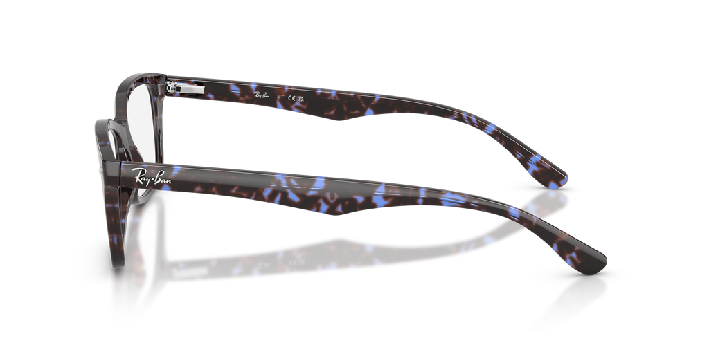 Ray-Ban RB5228 Optics