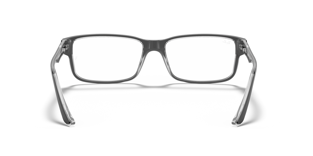 Ray-Ban RB5245 Optics