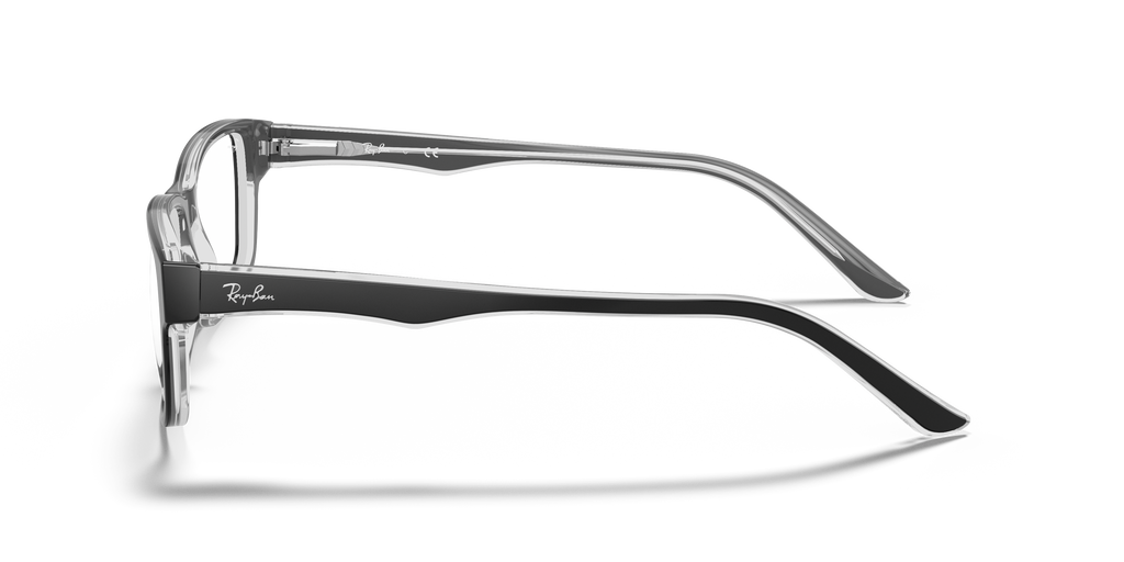 Ray-Ban RB5245 Optics