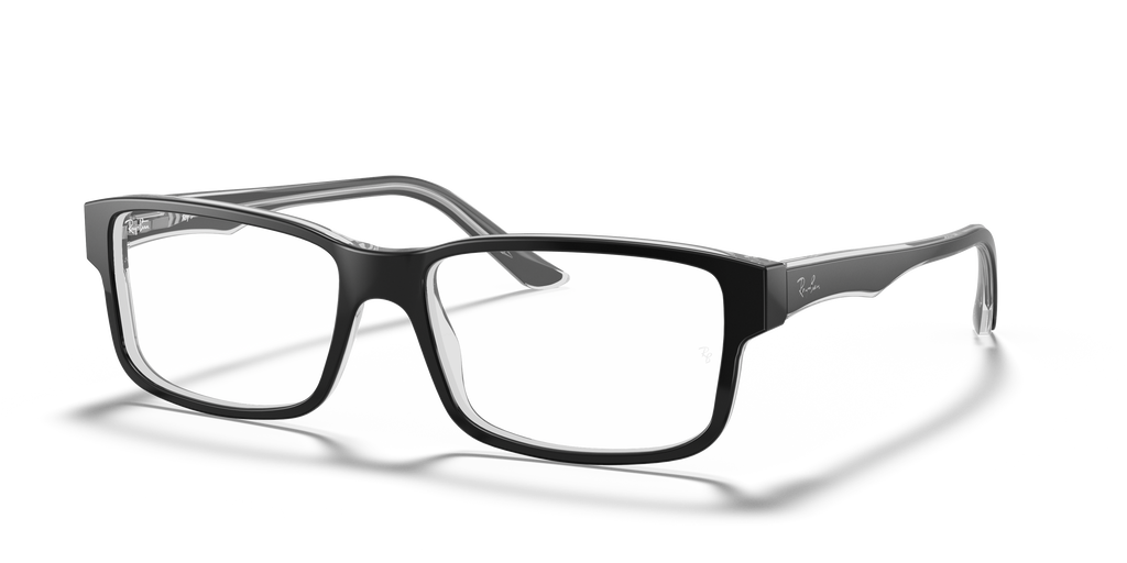 Ray-Ban RB5245 Optics