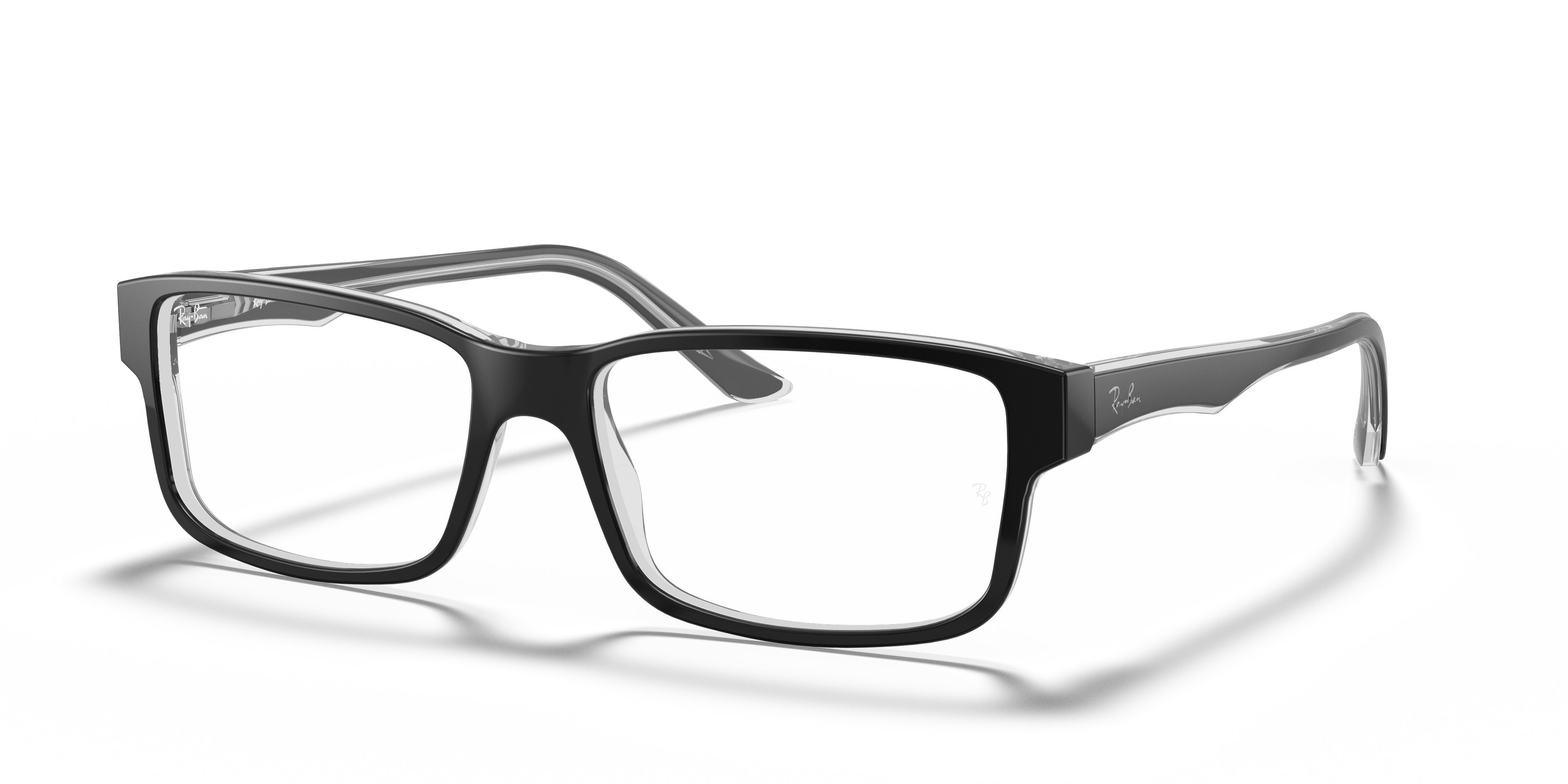 Ray-Ban RB5245 Optics
