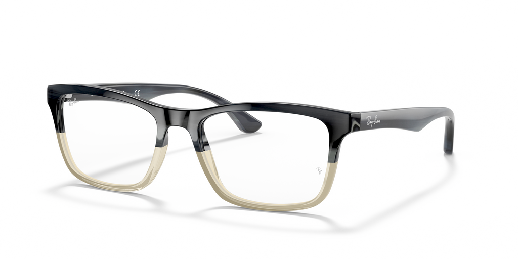 Ray-Ban RB5279 Optics
