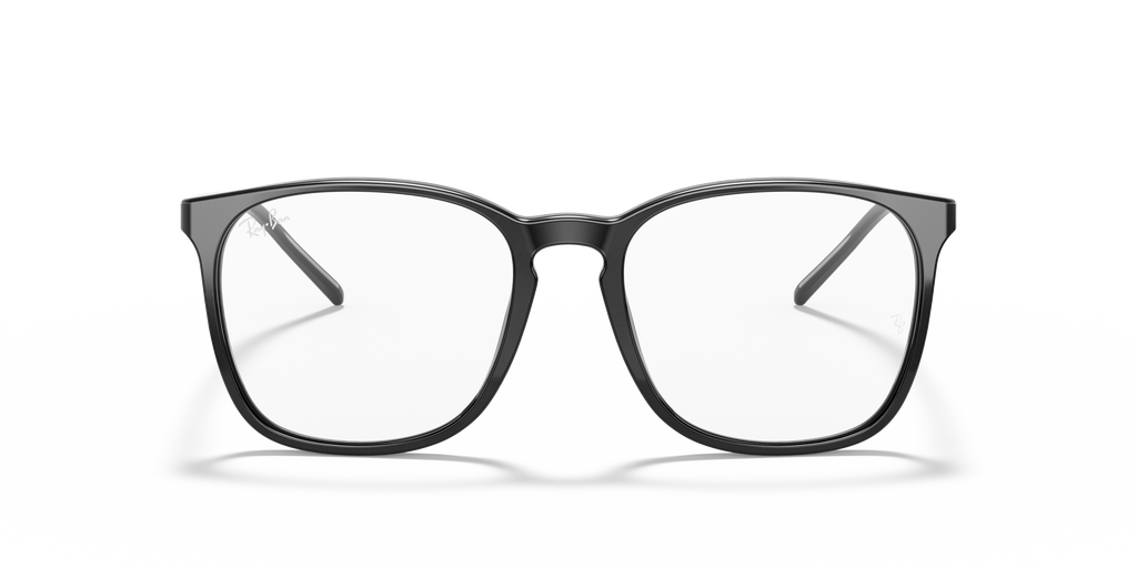Ray-Ban RB5387 Optics