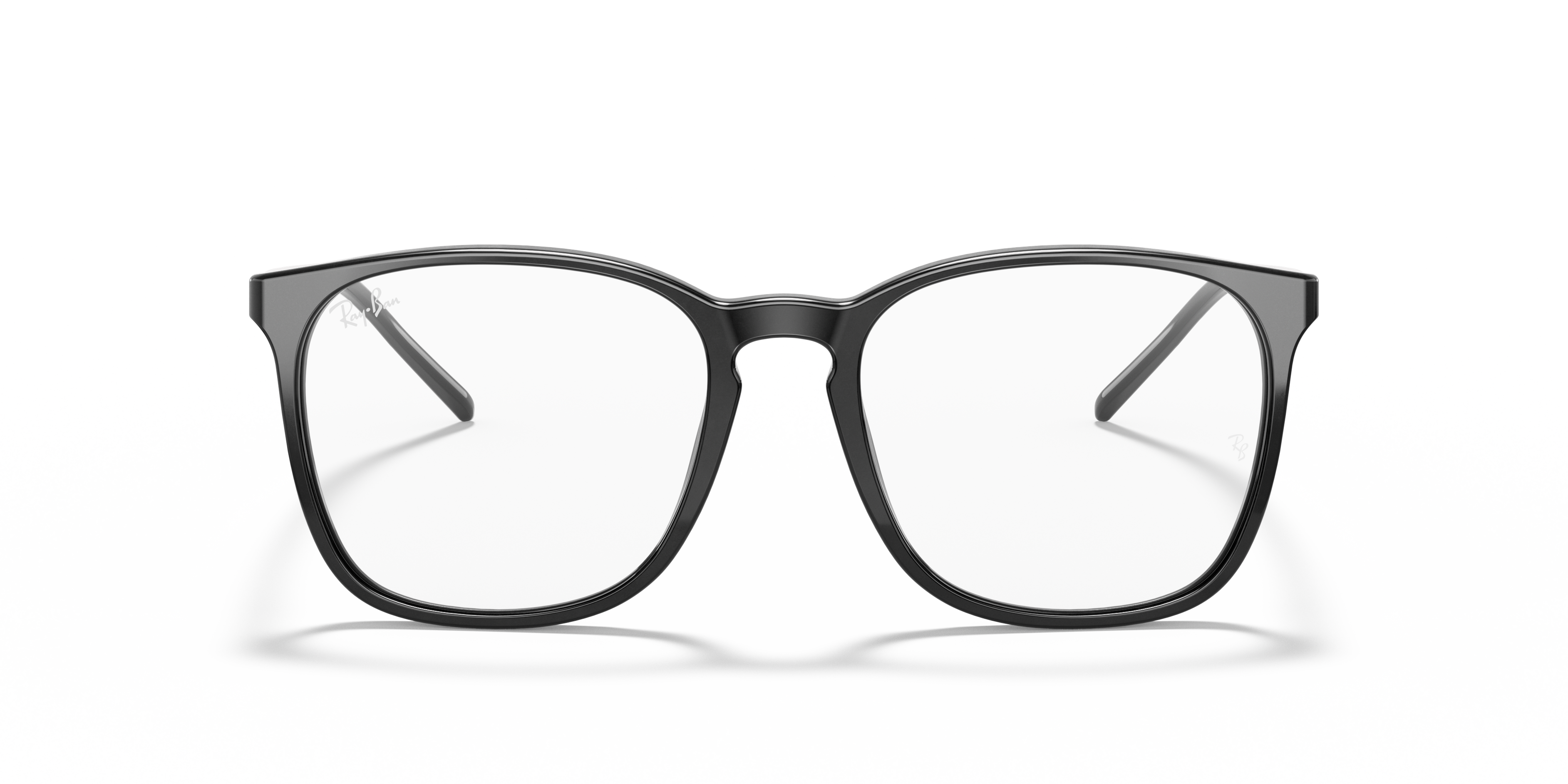 Ray-Ban RB5387 Optics