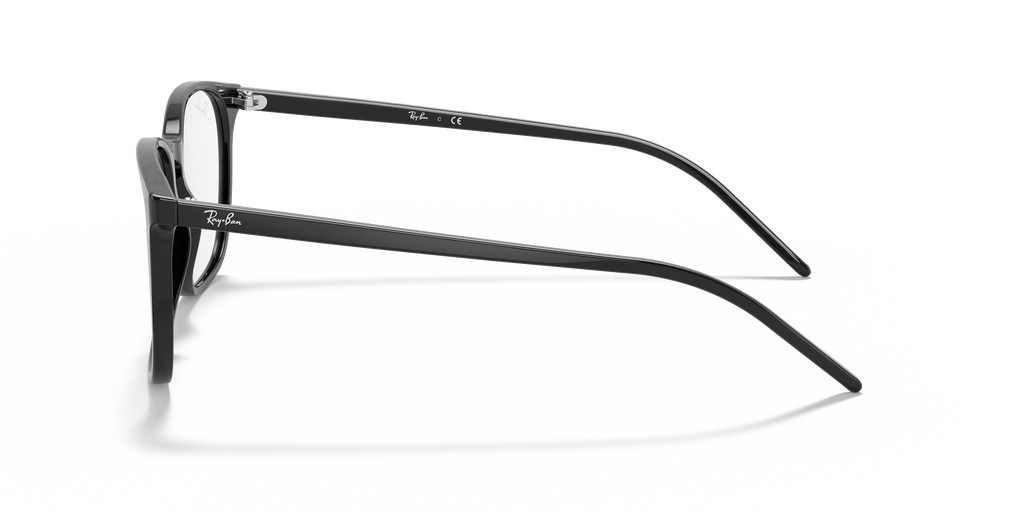 Ray-Ban RB5387 Optics
