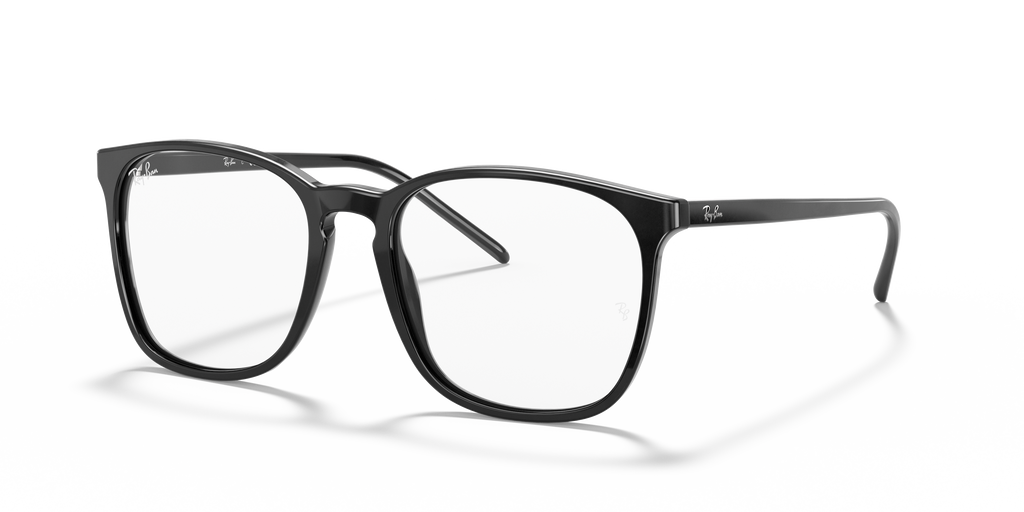 Ray-Ban RB5387 Optics