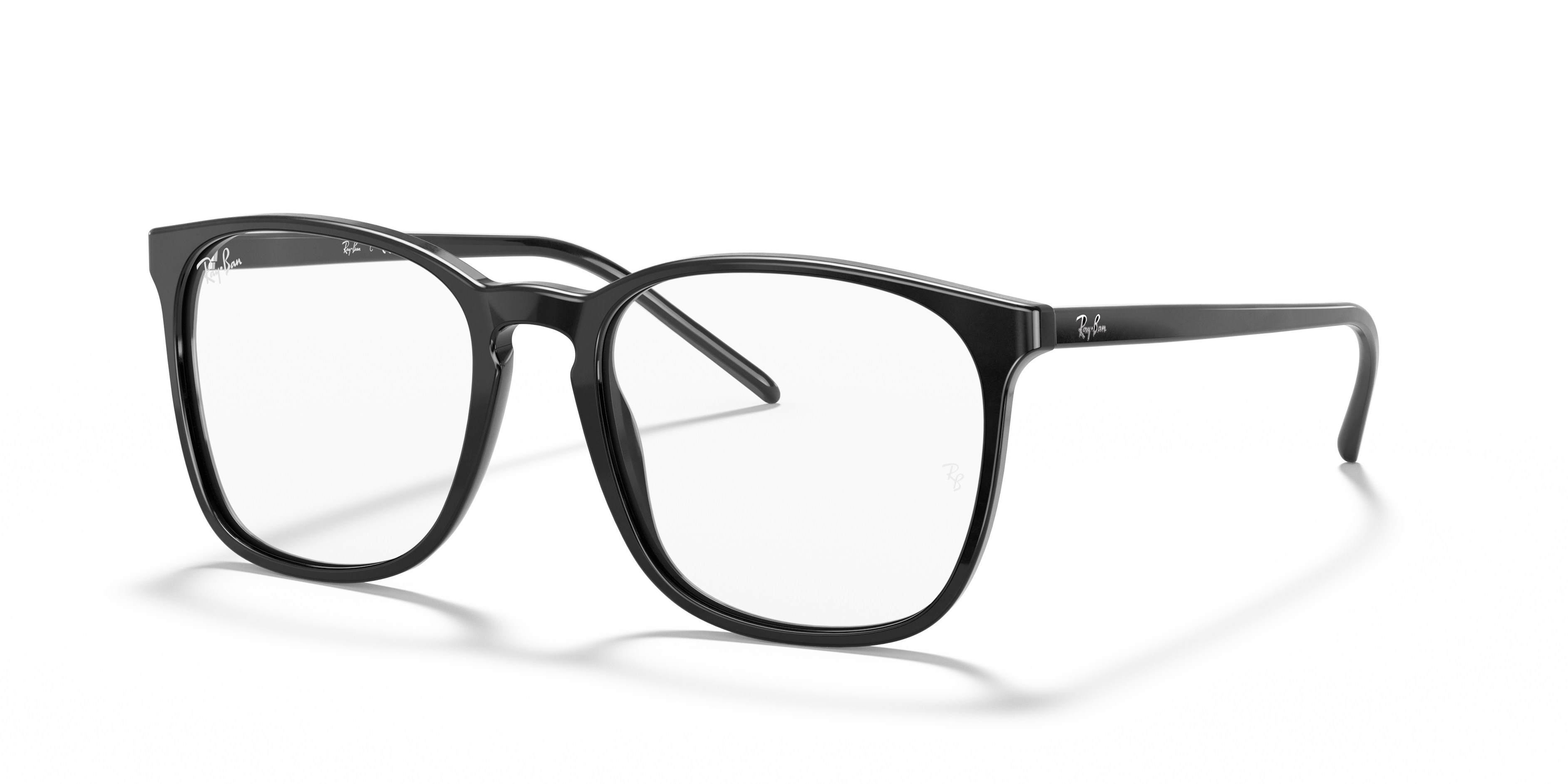 Ray-Ban RB5387 Optics