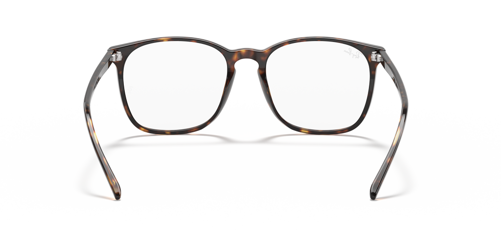 Ray-Ban RB5387 Optics