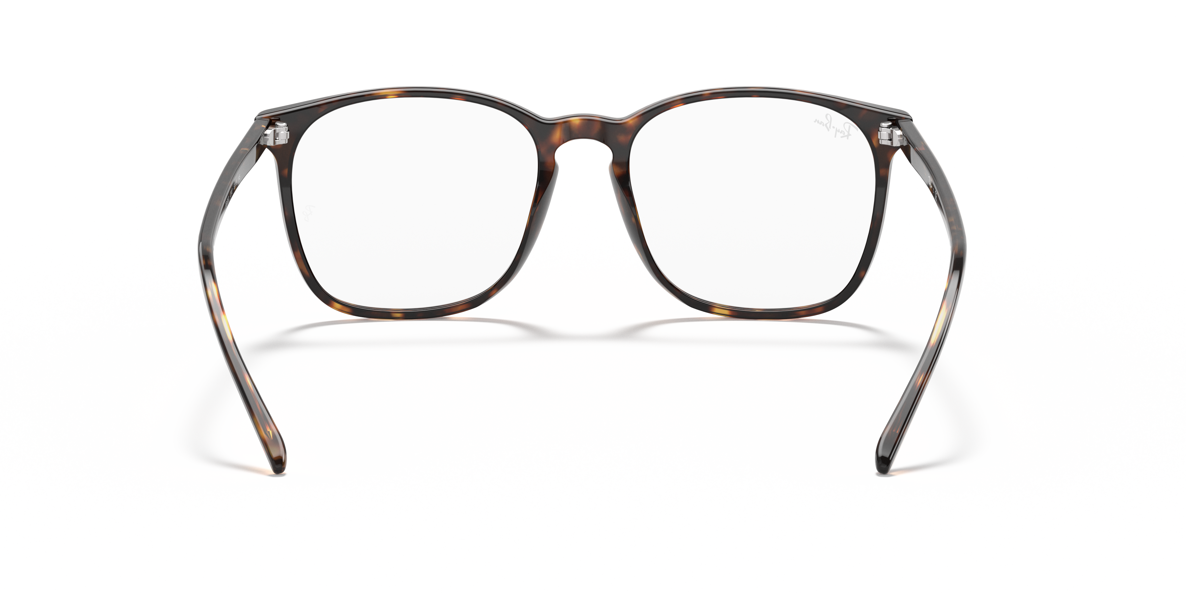 Ray-Ban RB5387 Optics