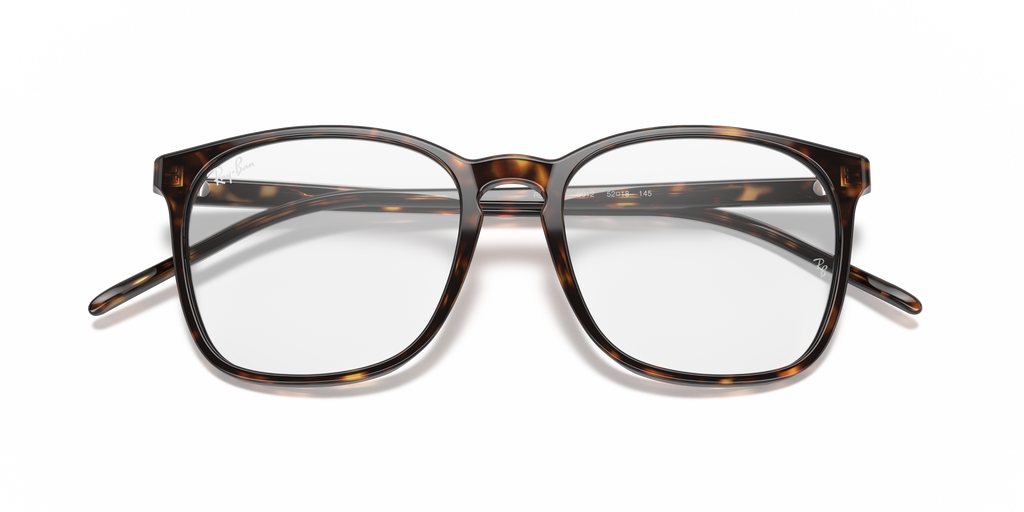 Ray-Ban RB5387 Optics