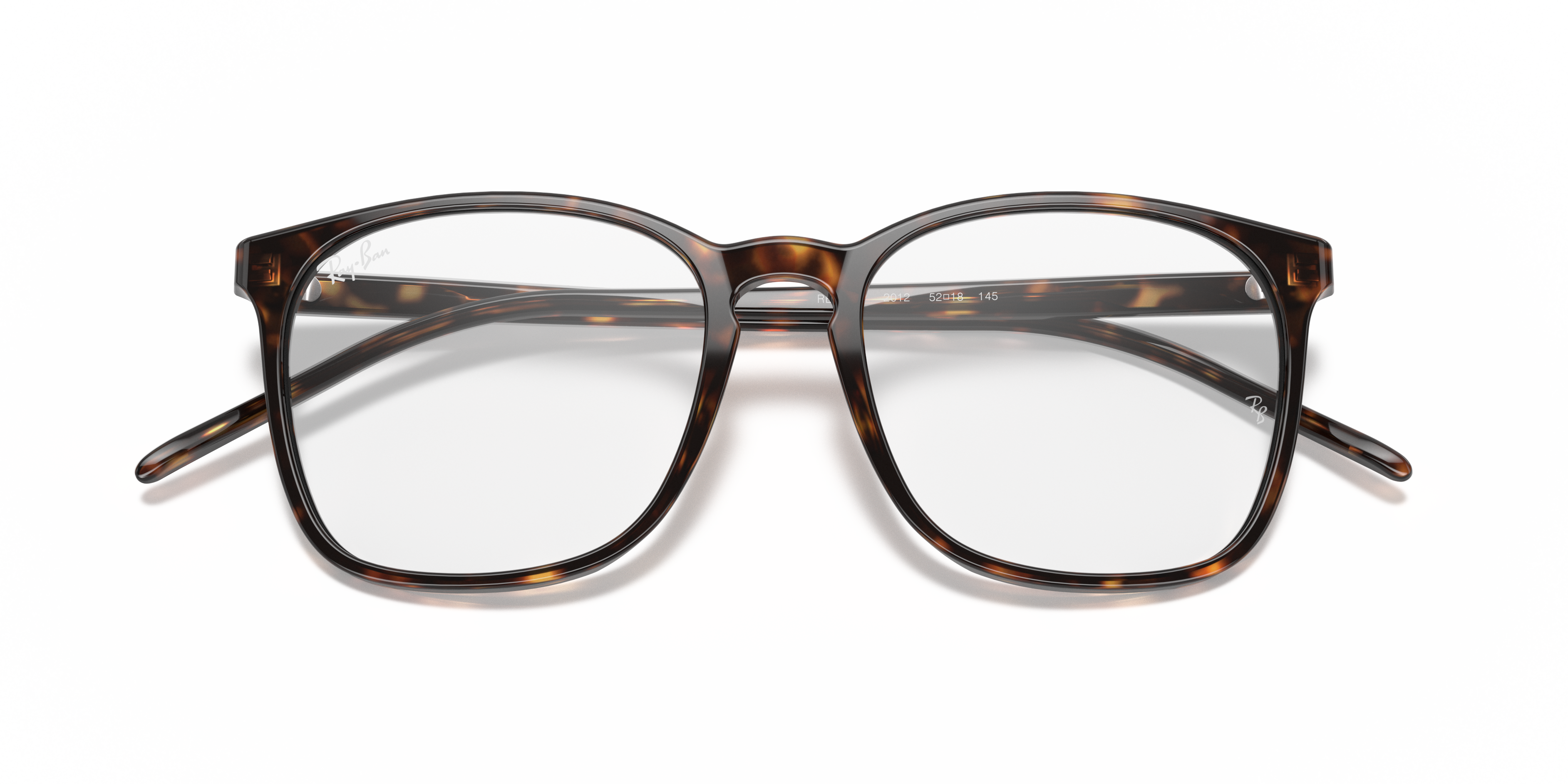 Ray-Ban RB5387 Optics