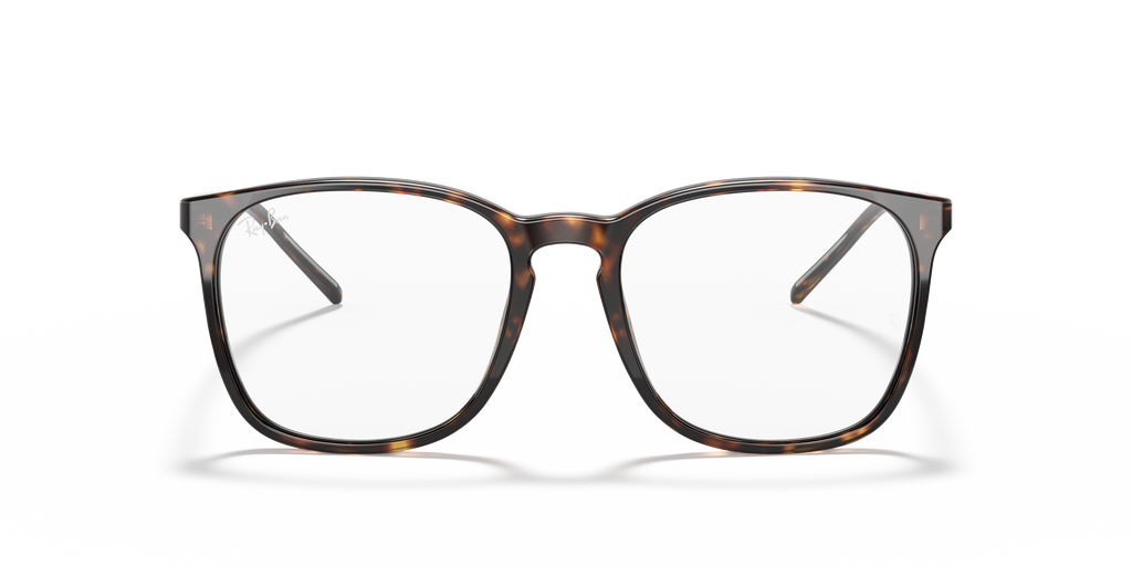 Ray-Ban RB5387 Optics