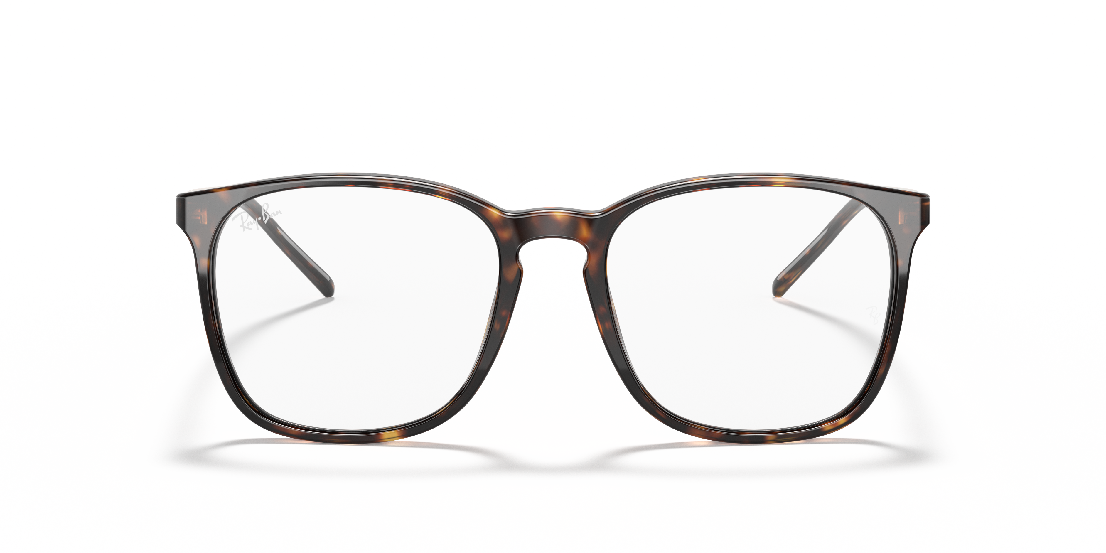 Ray-Ban RB5387 Optics