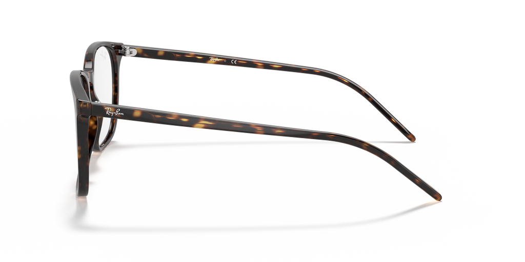 Ray-Ban RB5387 Optics