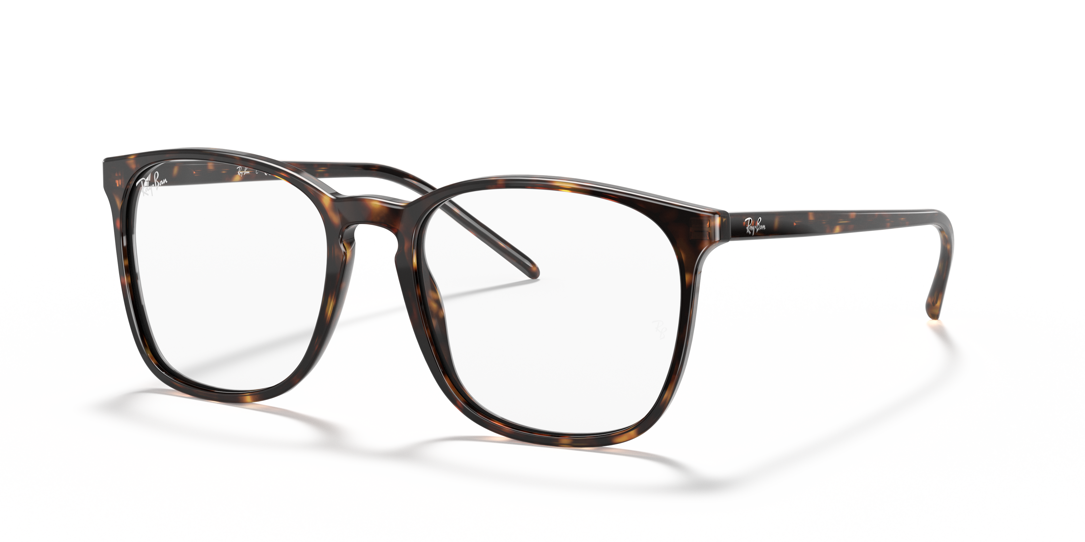 Ray-Ban RB5387 Optics