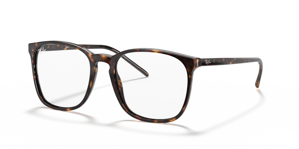 Ray-Ban RB5387 Optics