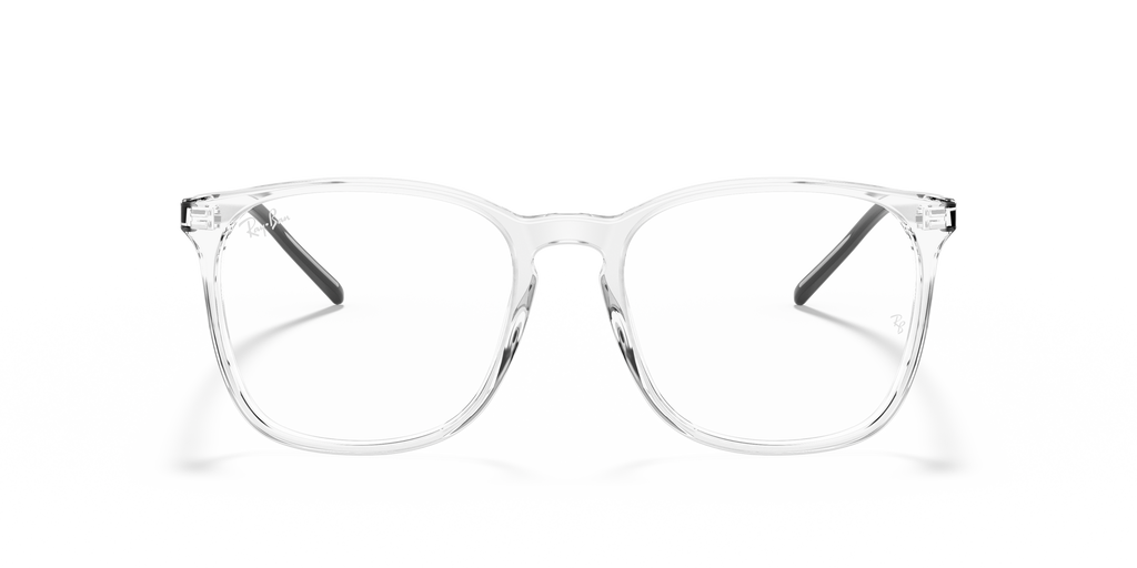 Ray-Ban RB5387 Optics