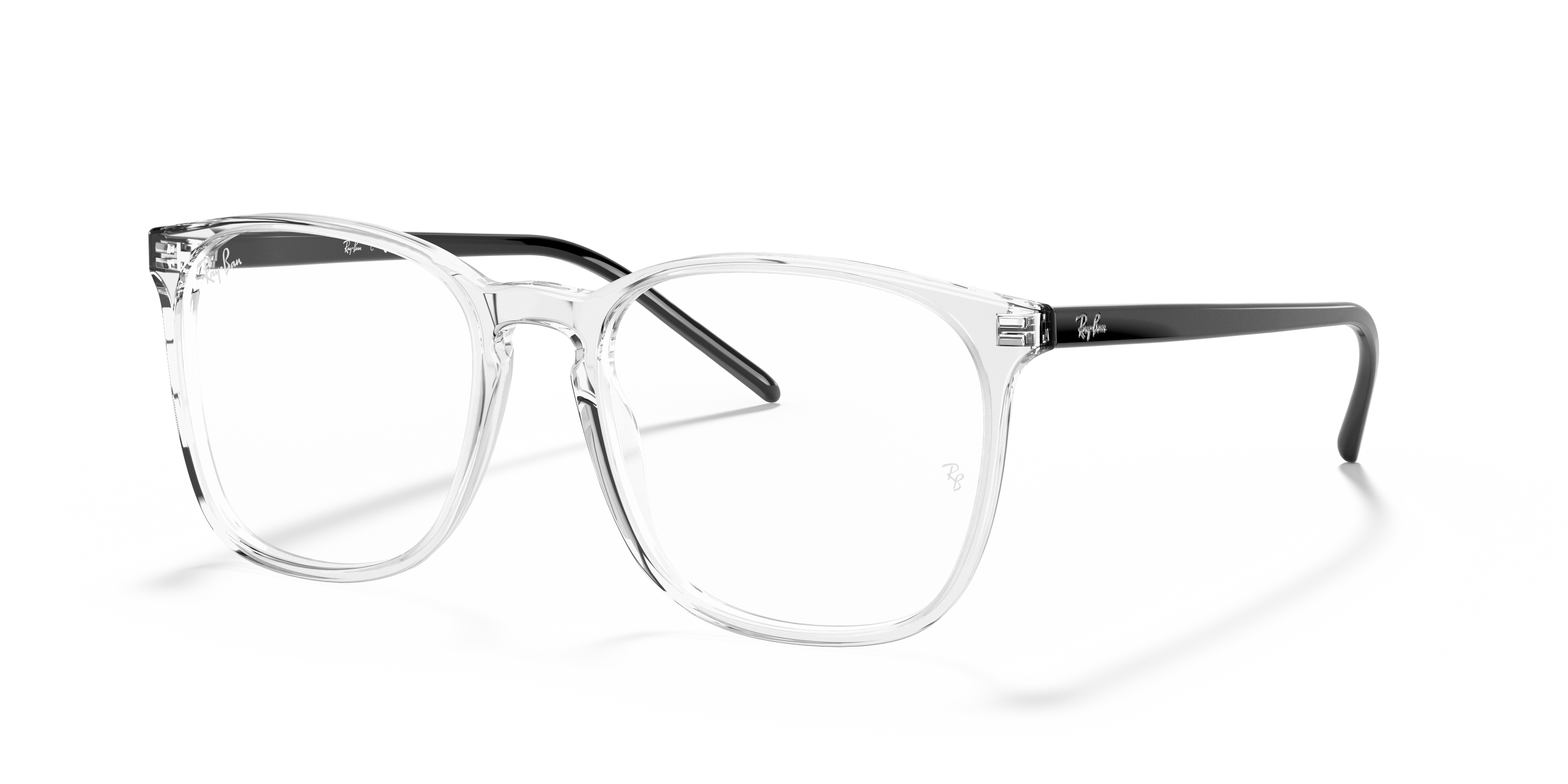Ray-Ban RB5387 Optics