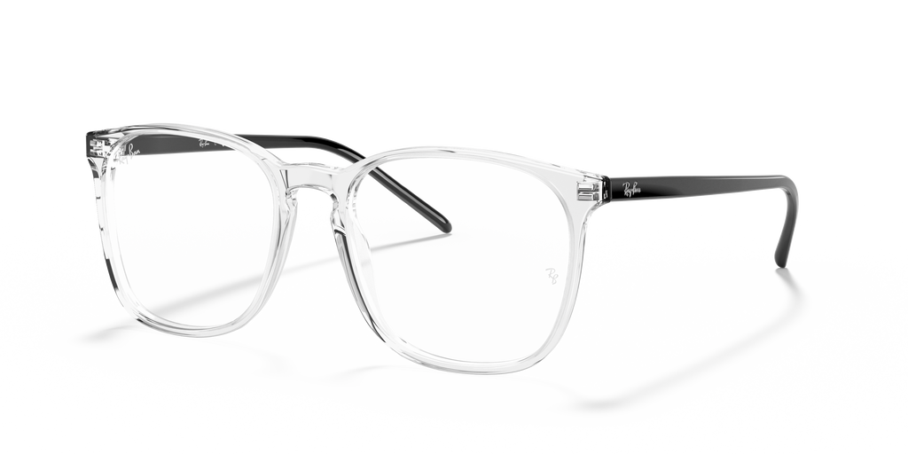 Ray-Ban RB5387 Optics