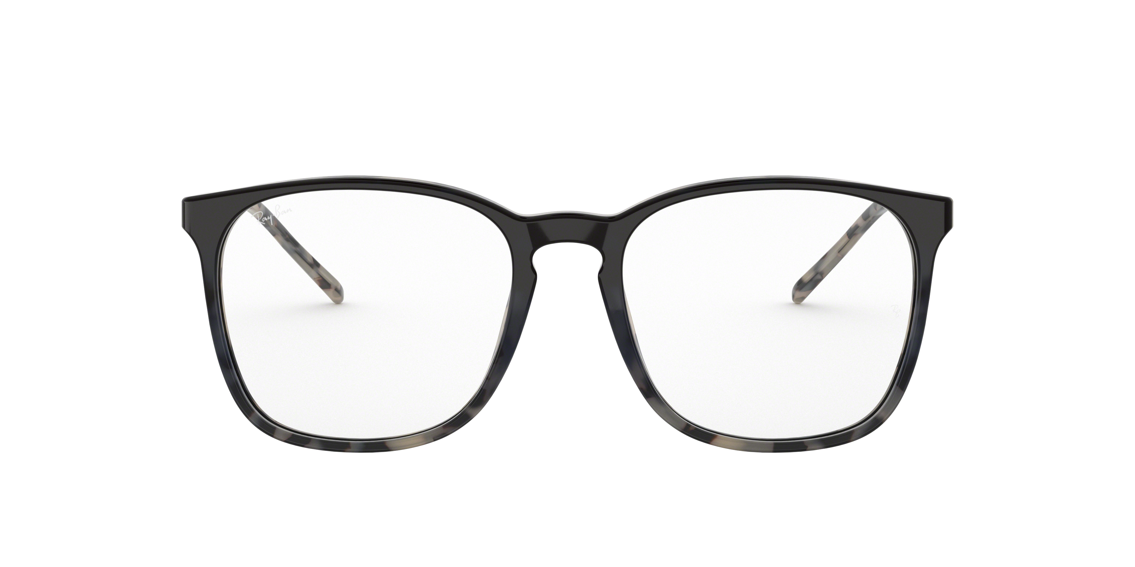 Ray-Ban RB5387 Optics