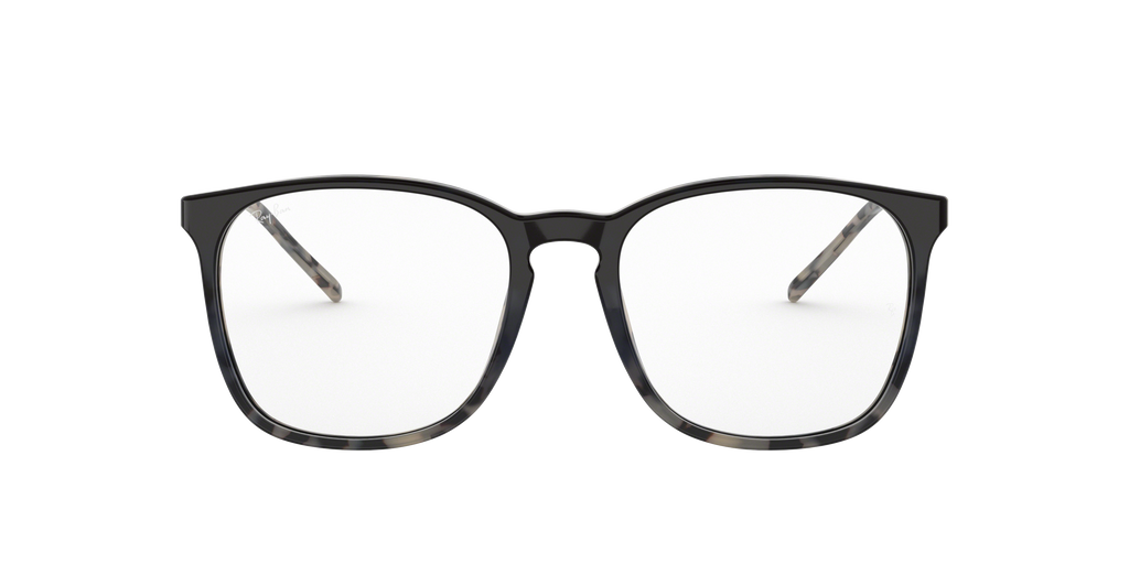 Ray-Ban RB5387 Optics