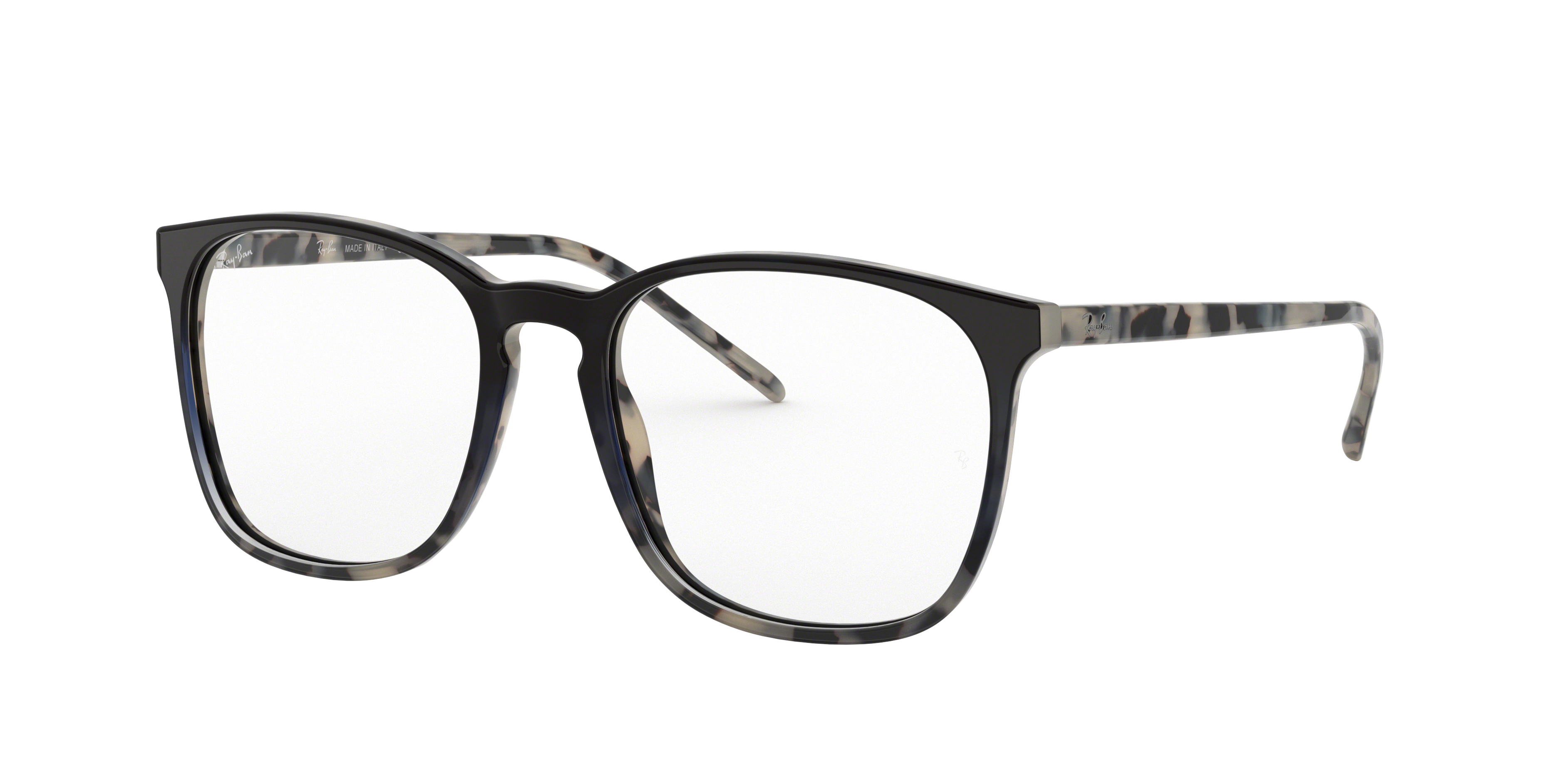 Ray-Ban RB5387 Optics