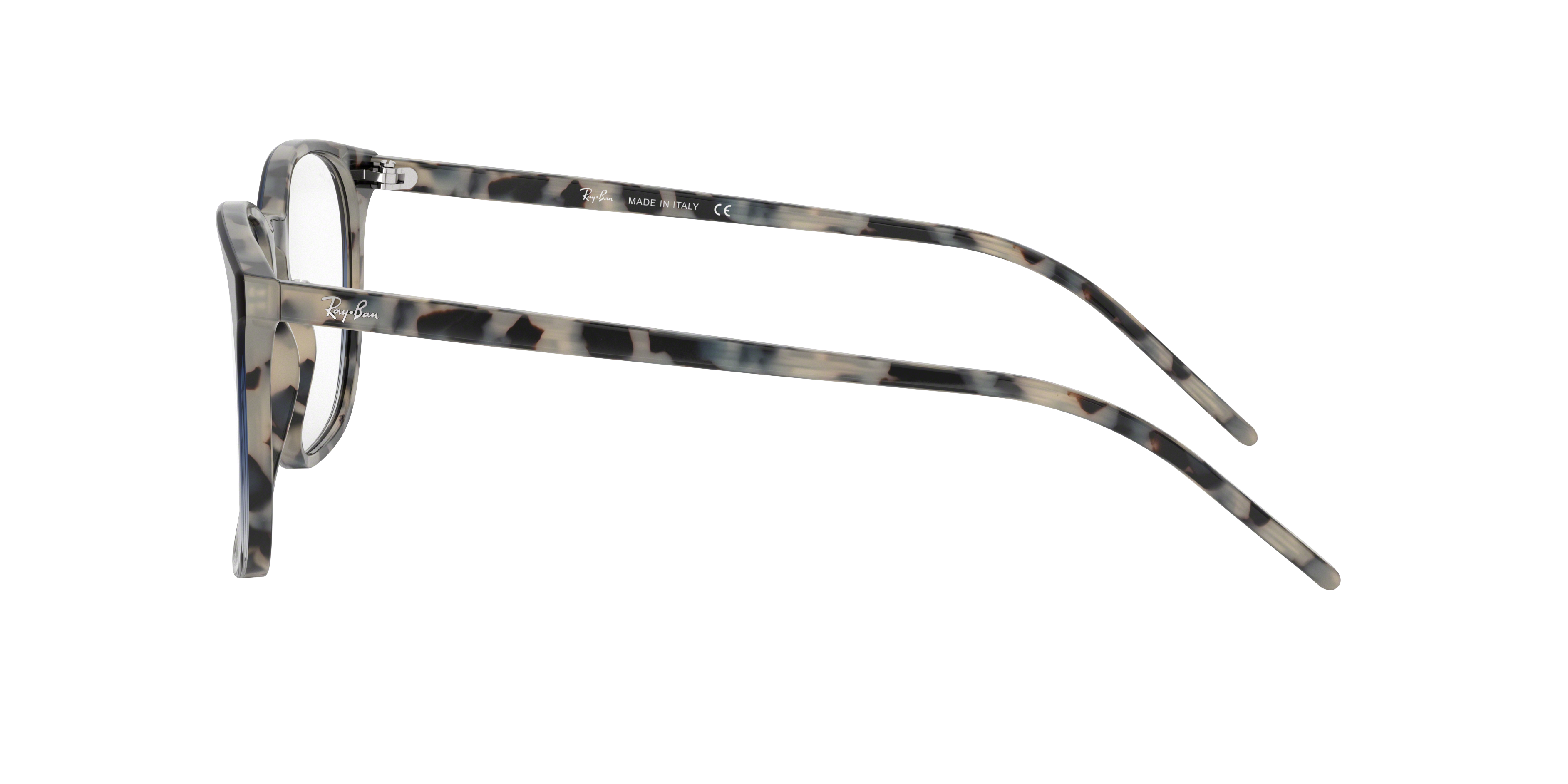 Ray-Ban RB5387 Optics