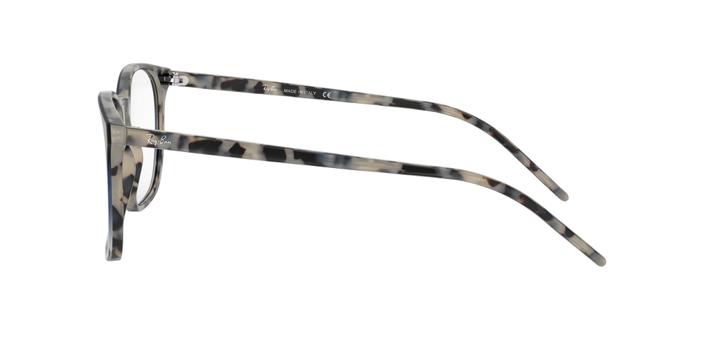 Ray-Ban RB5387 Optics