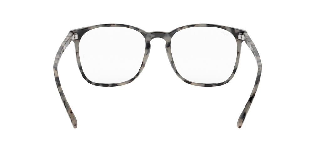 Ray-Ban RB5387 Optics