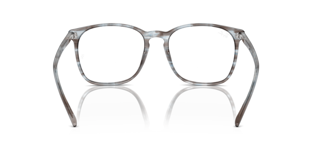 Ray-Ban RB5387 Optics