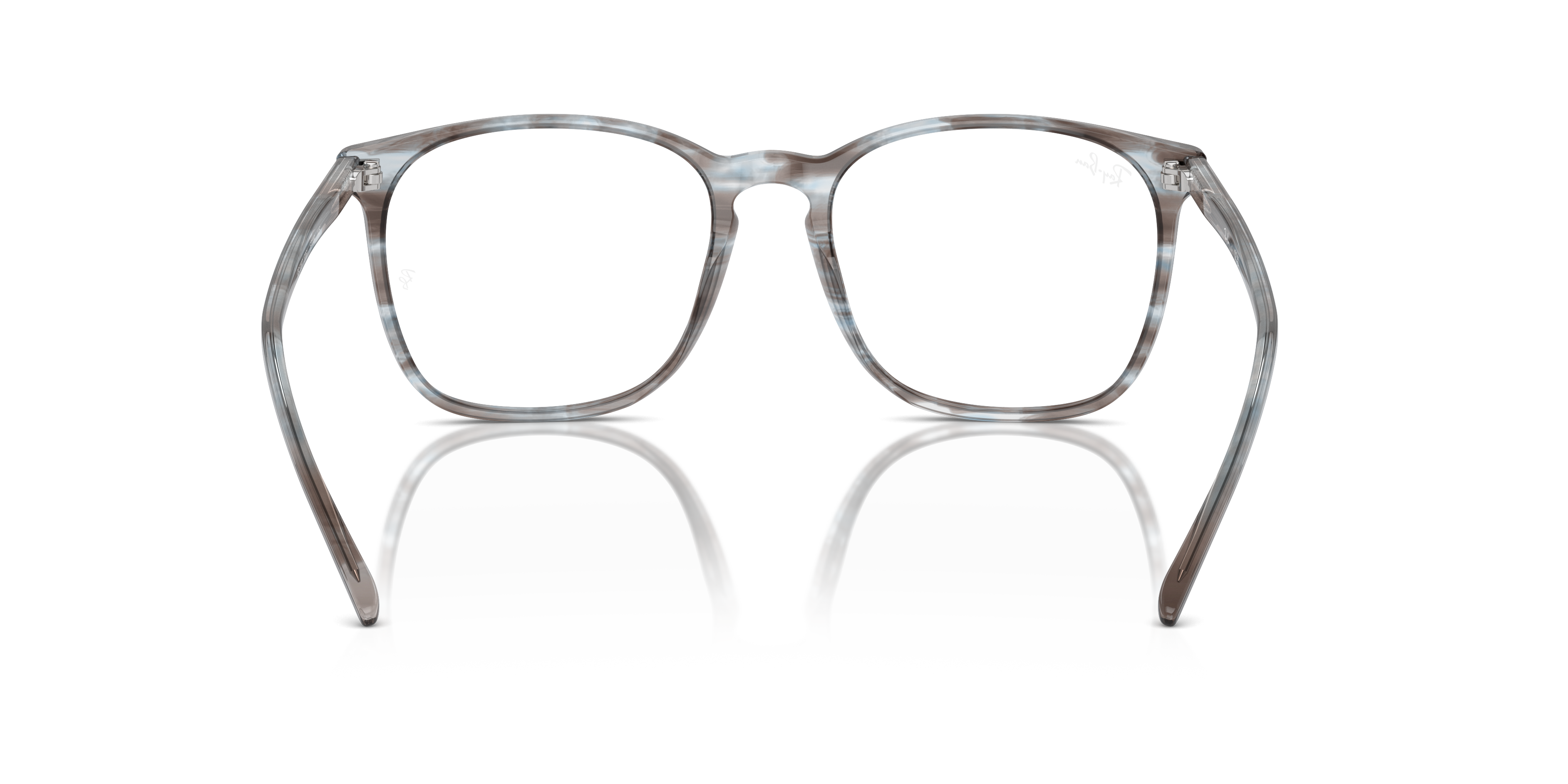 Ray-Ban RB5387 Optics