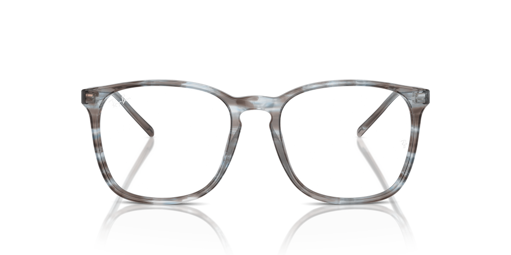 Ray-Ban RB5387 Optics
