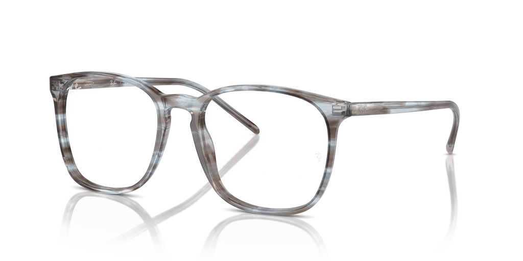Ray-Ban RB5387 Optics