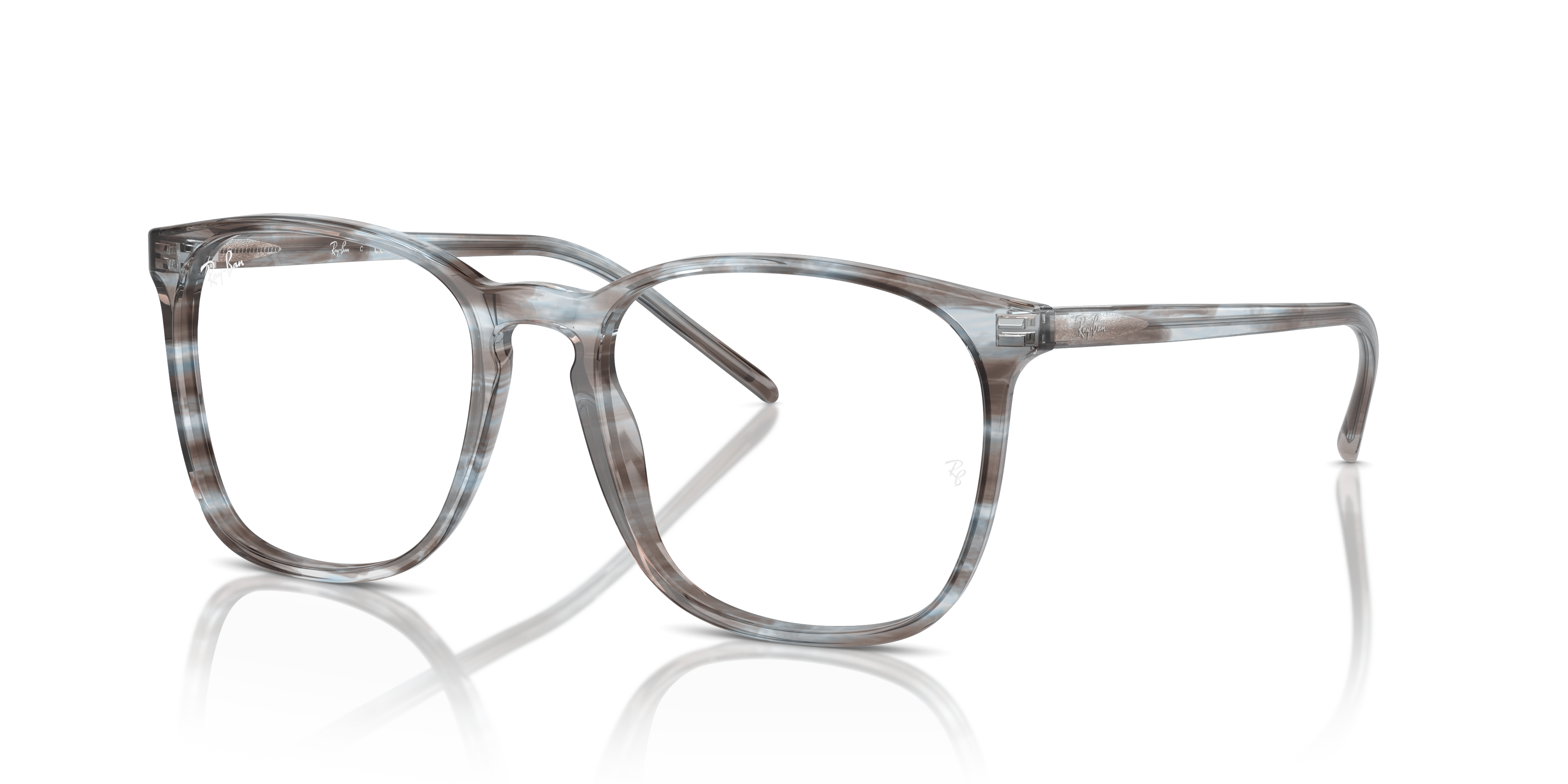 Ray-Ban RB5387 Optics